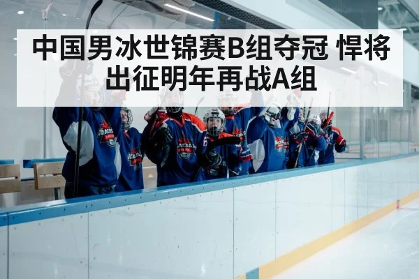 中国男冰世锦赛B组夺冠 悍将出征明年再战A组