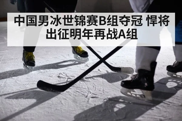 ice hockey player action