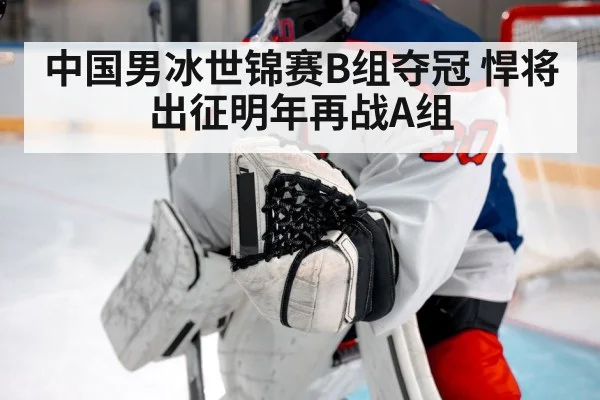 ice hockey goalie save
