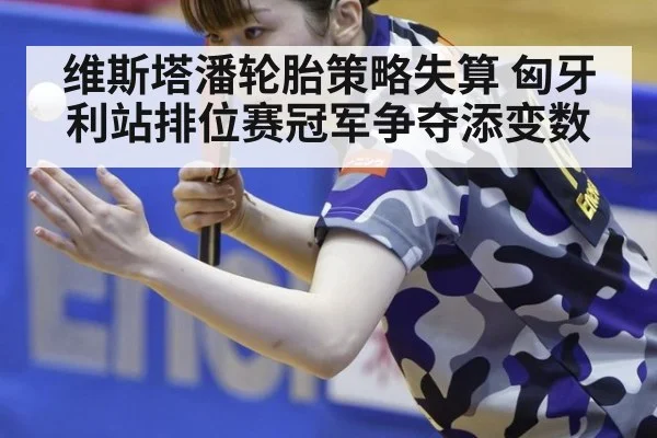 维斯塔潘轮胎策略失算 匈牙利站排位赛冠军争夺添变数